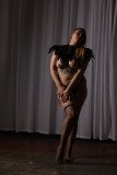 Cat_260304-1866
