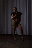 Cat_260304-1886