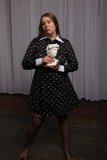 Cat_260304-2042