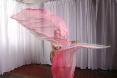 Cat_260304-2192