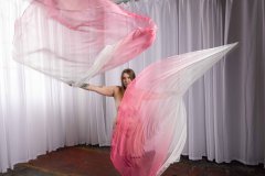 Cat_260304-2193