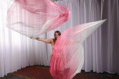 Cat_260304-2194