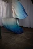 Cat_260304-2239