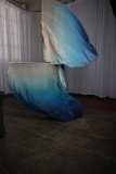 Cat_260304-2240