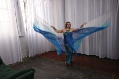 Cat_260304-2244