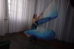 Cat_260304-2262