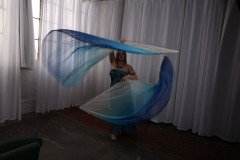 Cat_260304-2270