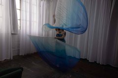 Cat_260304-2271