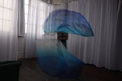 Cat_260304-2276
