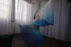 Cat_260304-2278
