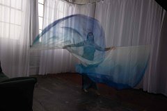 Cat_260304-2279