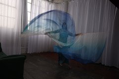 Cat_260304-2280