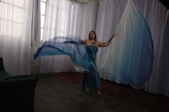 Cat_260304-2282