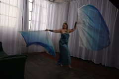 Cat_260304-2284