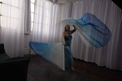 Cat_260304-2285