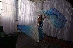 Cat_260304-2286