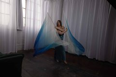 Cat_260304-2289