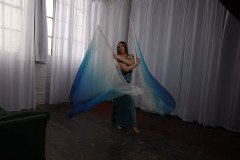 Cat_260304-2290