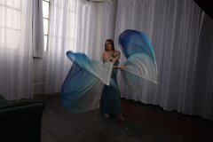 Cat_260304-2292