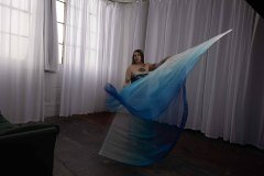 Cat_260304-2293