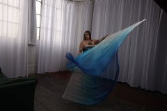 Cat_260304-2294