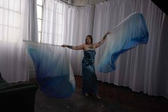 Cat_260304-2295
