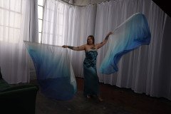 Cat_260304-2296
