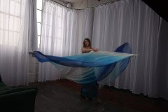 Cat_260304-2298