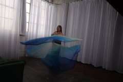 Cat_260304-2306