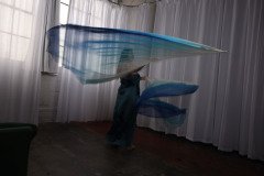 Cat_260304-2308