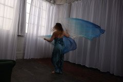 Cat_260304-2310