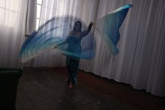 Cat_260304-2316