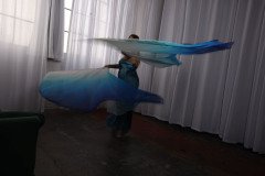 Cat_260304-2322
