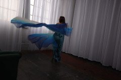 Cat_260304-2324