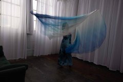 Cat_260304-2333