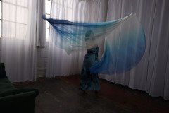 Cat_260304-2334