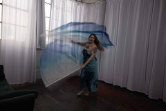 Cat_260304-2339
