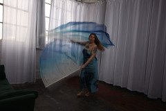 Cat_260304-2340