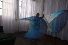 Cat_260304-2346