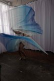Cat_260304-2359
