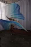 Cat_260304-2360