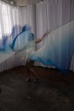 Cat_260304-2361