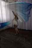 Cat_260304-2363