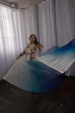 Cat_260304-2371
