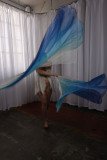 Cat_260304-2384