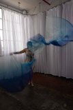 Cat_260304-2389