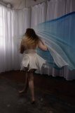 Cat_260304-2397