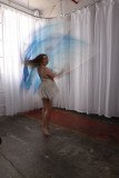 Cat_260304-2424