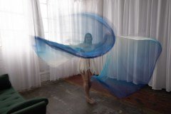 Cat_260304-2433