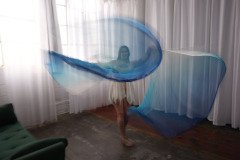 Cat_260304-2434